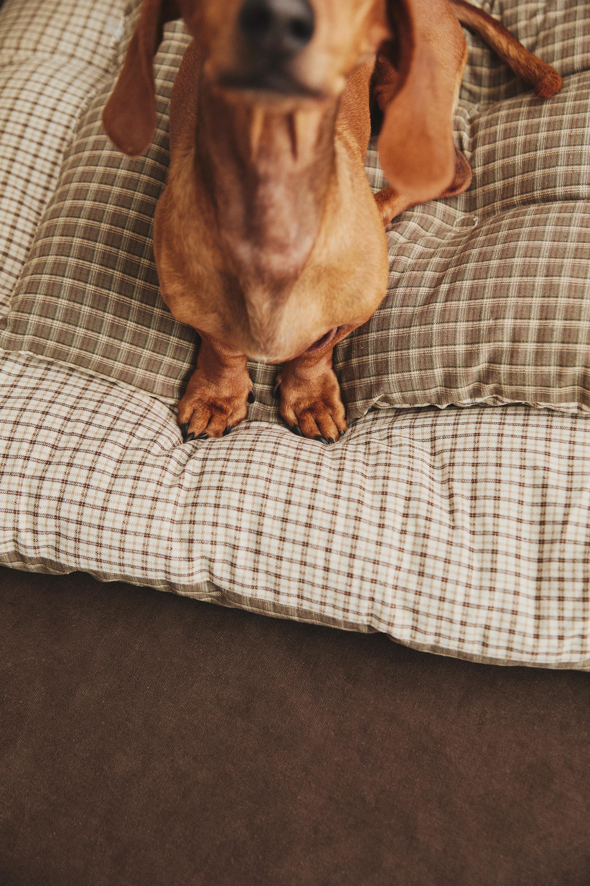 SUR-MATELAS CARREAUX ANIMAUX DE COMPAGNIE